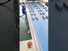 Máy đùn thanh ngày nhiều protein tốc độ cao Papa