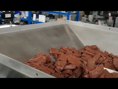 Máy ép đùn / ép đùn / ép đùn thanh protein nhiều hàng hoàn toàn tự động Papa